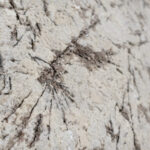 alpinus for cladding