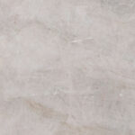 Taj mahal texture