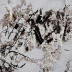 Alpinus texture